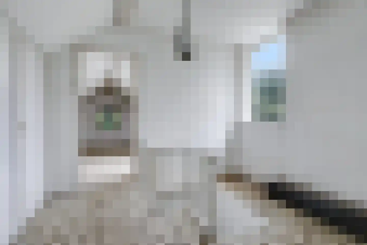 Zeedijk 3 Retranchement thumbnail 19