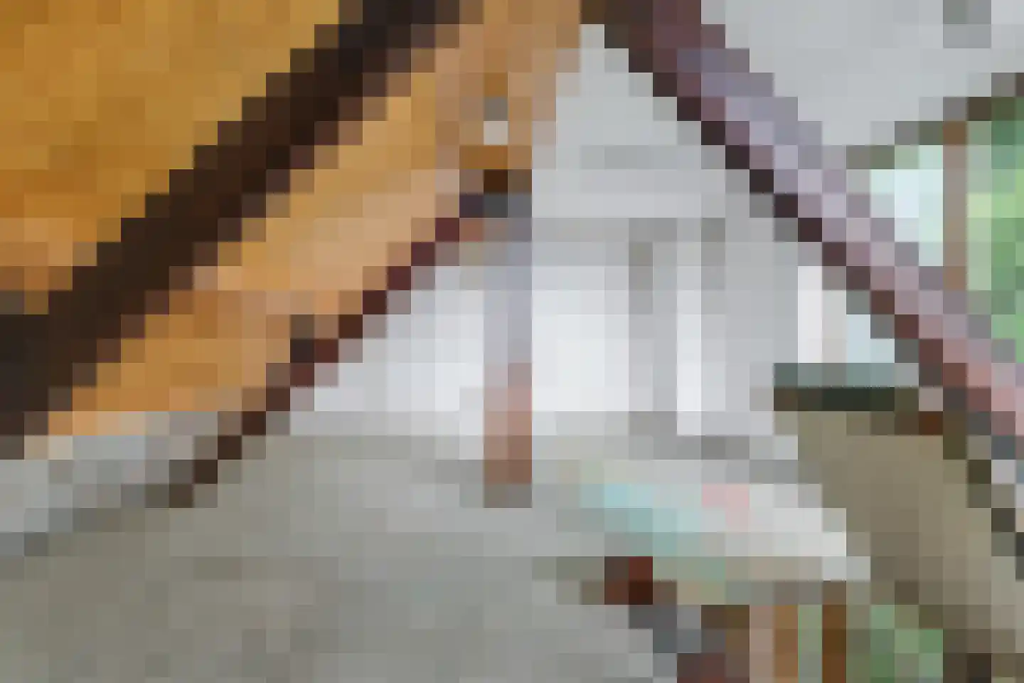 Zeedijk 3 Retranchement thumbnail 21