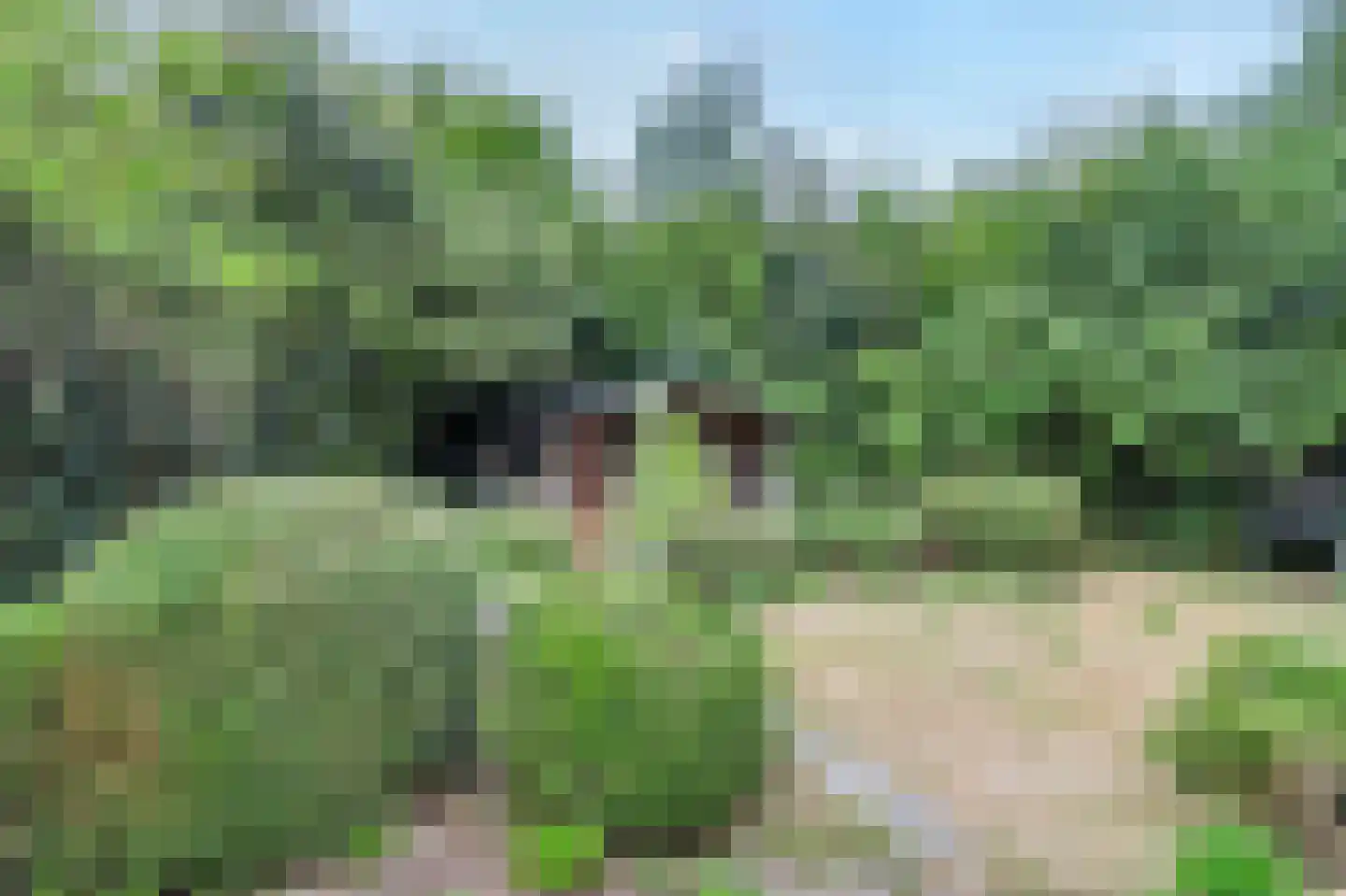 Zeedijk 3 Retranchement thumbnail 22