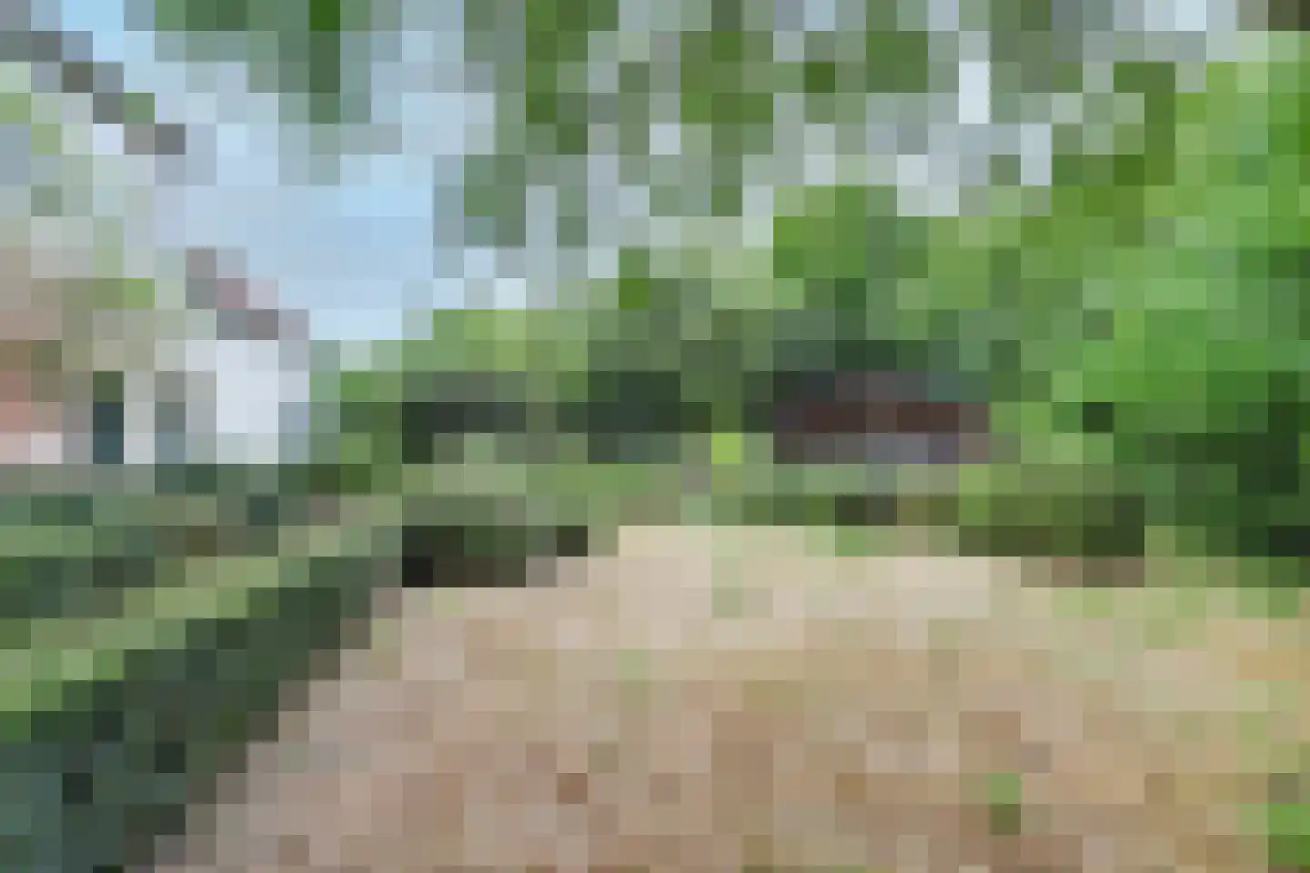 Zeedijk 3 Retranchement thumbnail 32