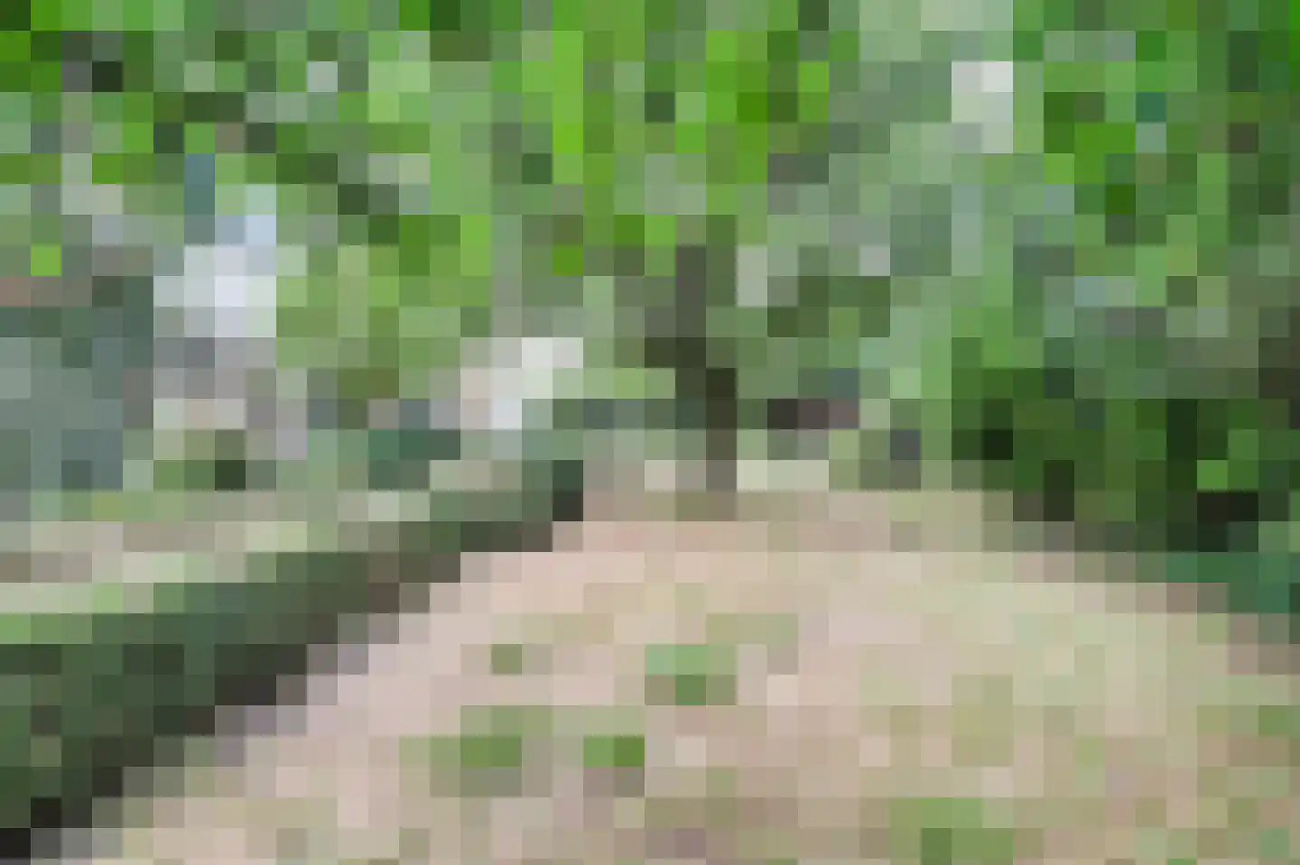 Zeedijk 3 Retranchement thumbnail 34