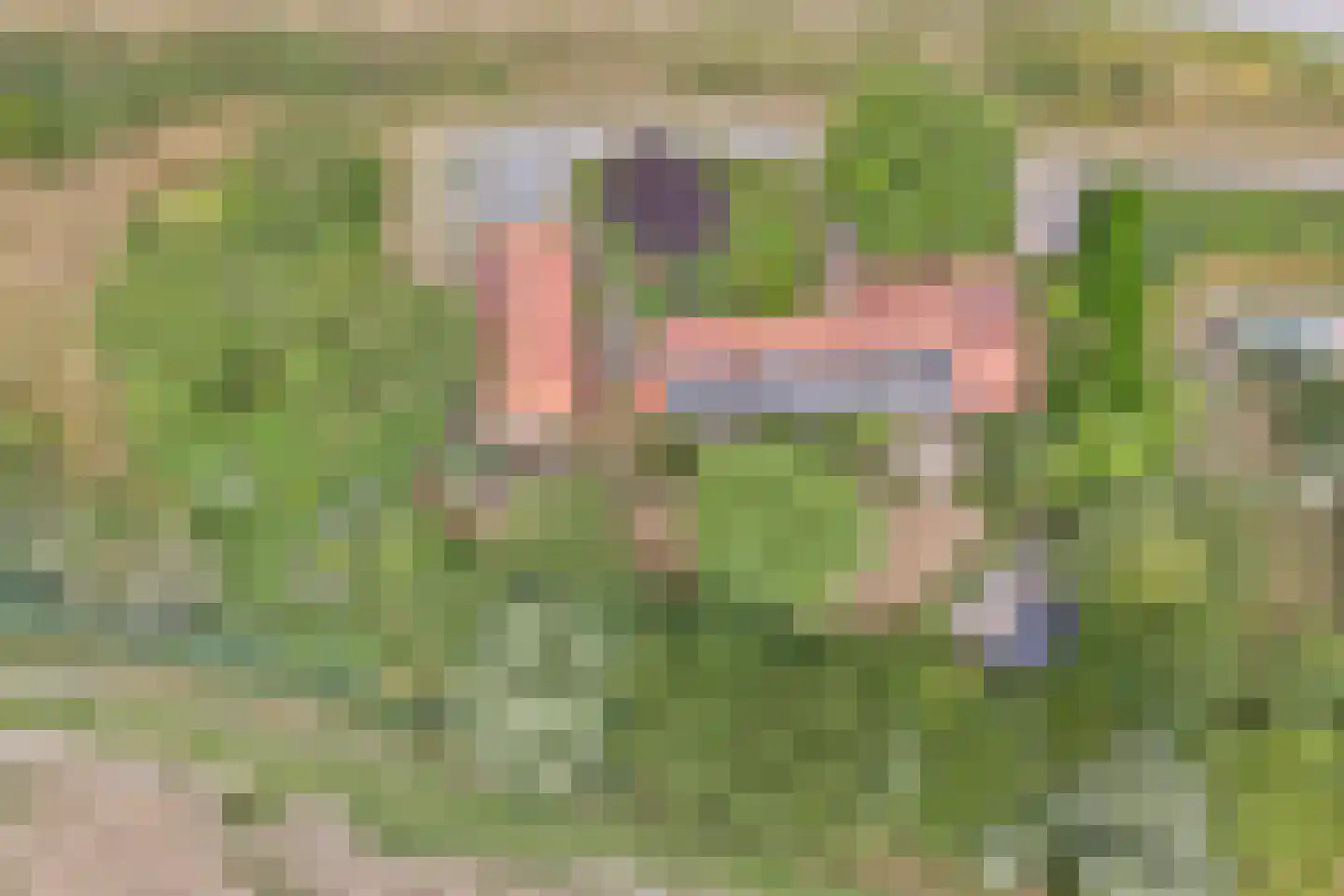 Zeedijk 3 Retranchement thumbnail 36