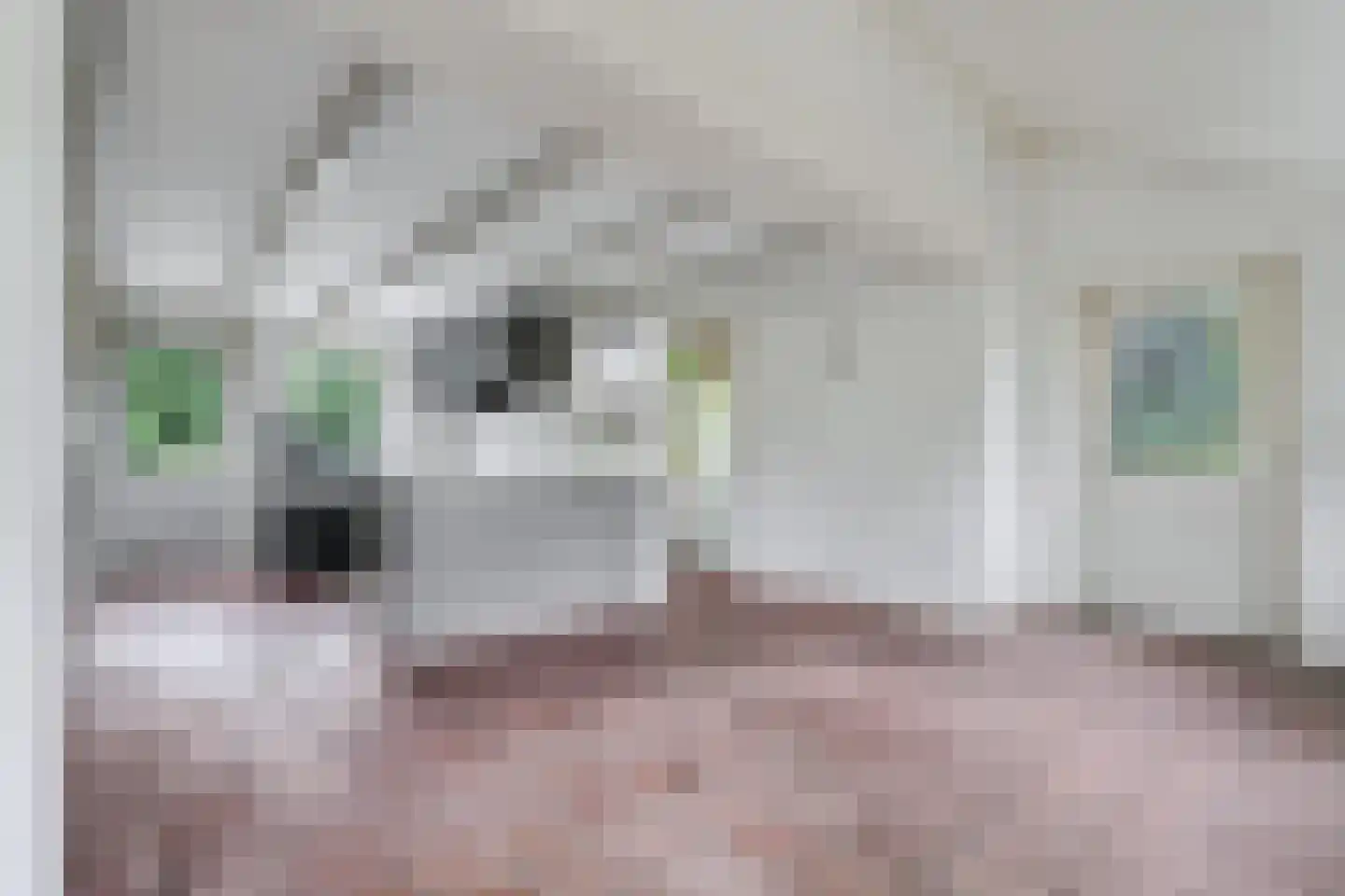 Zeedijk 3 Retranchement thumbnail 8