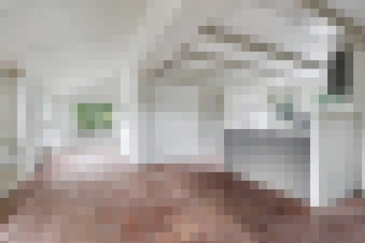 Zeedijk 3 Retranchement thumbnail 9