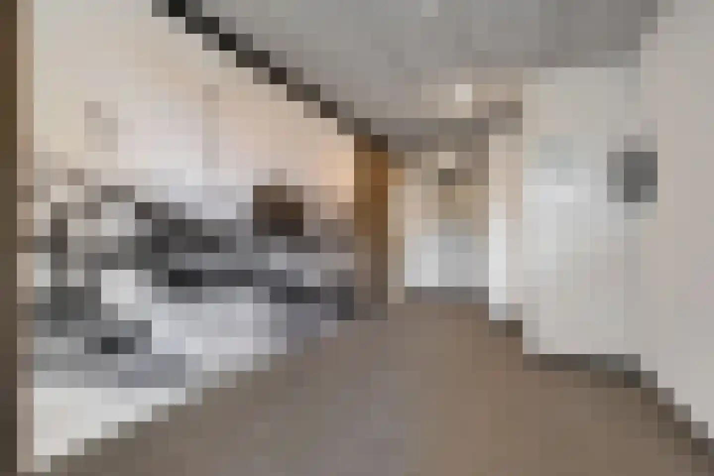 Zeedijk 9 A Lemmer thumbnail 11