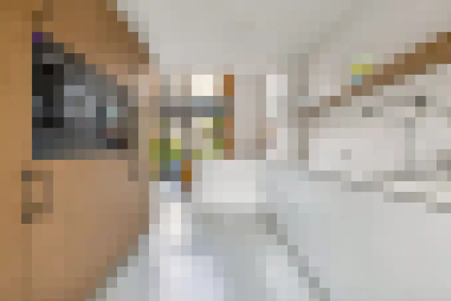 Zeedijk 9 Utrecht thumbnail 22