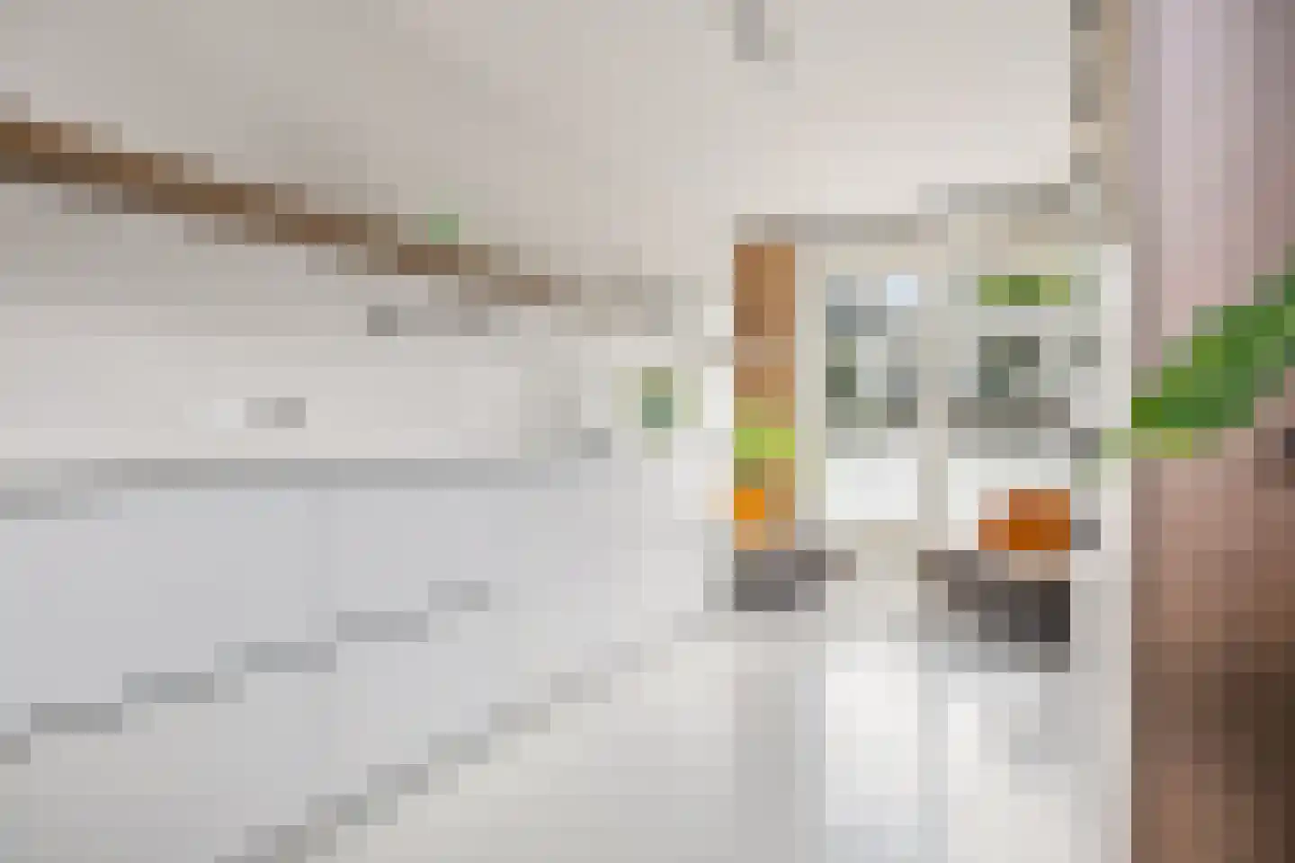 Zeedijk 9 Utrecht thumbnail 23
