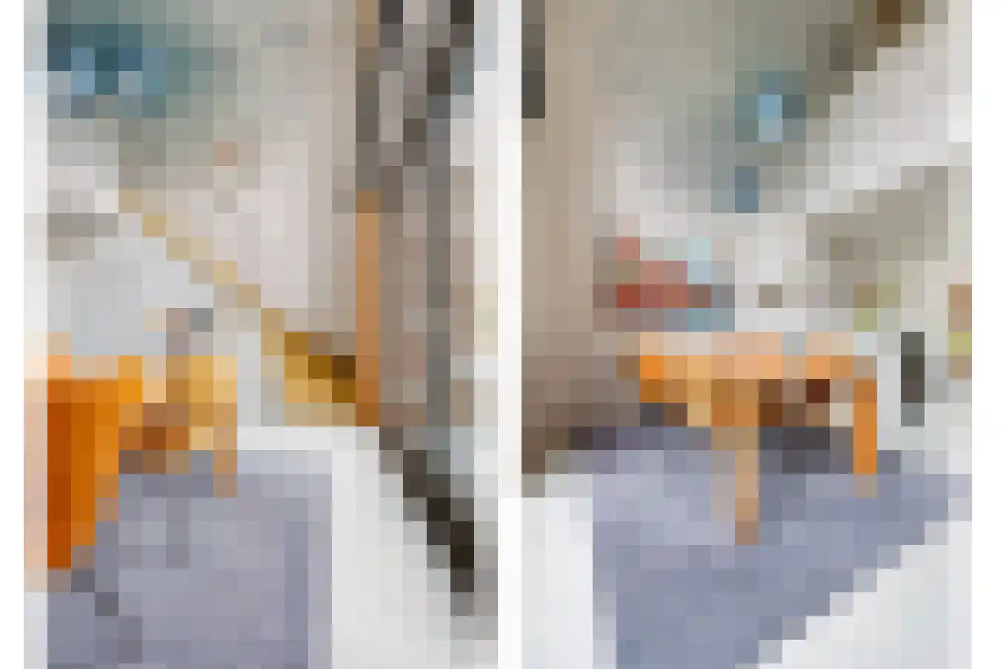 Zeedijk 9 Utrecht thumbnail 26