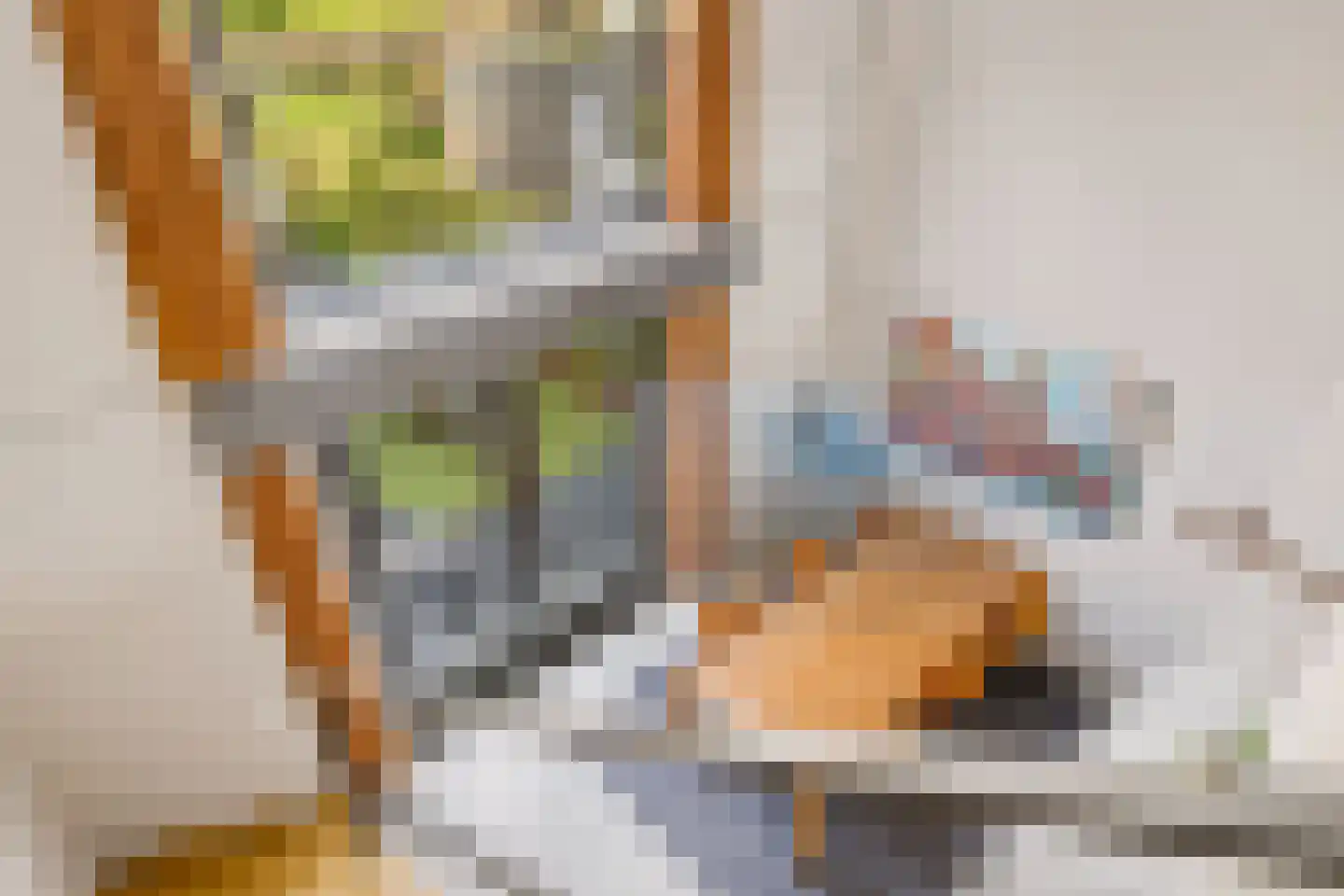 Zeedijk 9 Utrecht thumbnail 27