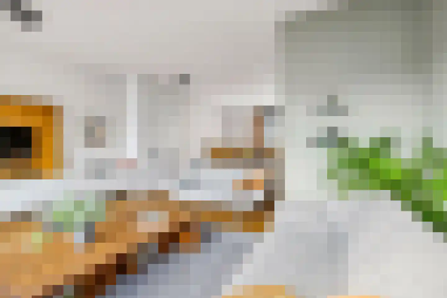 Zeedijk 9 Utrecht thumbnail 32