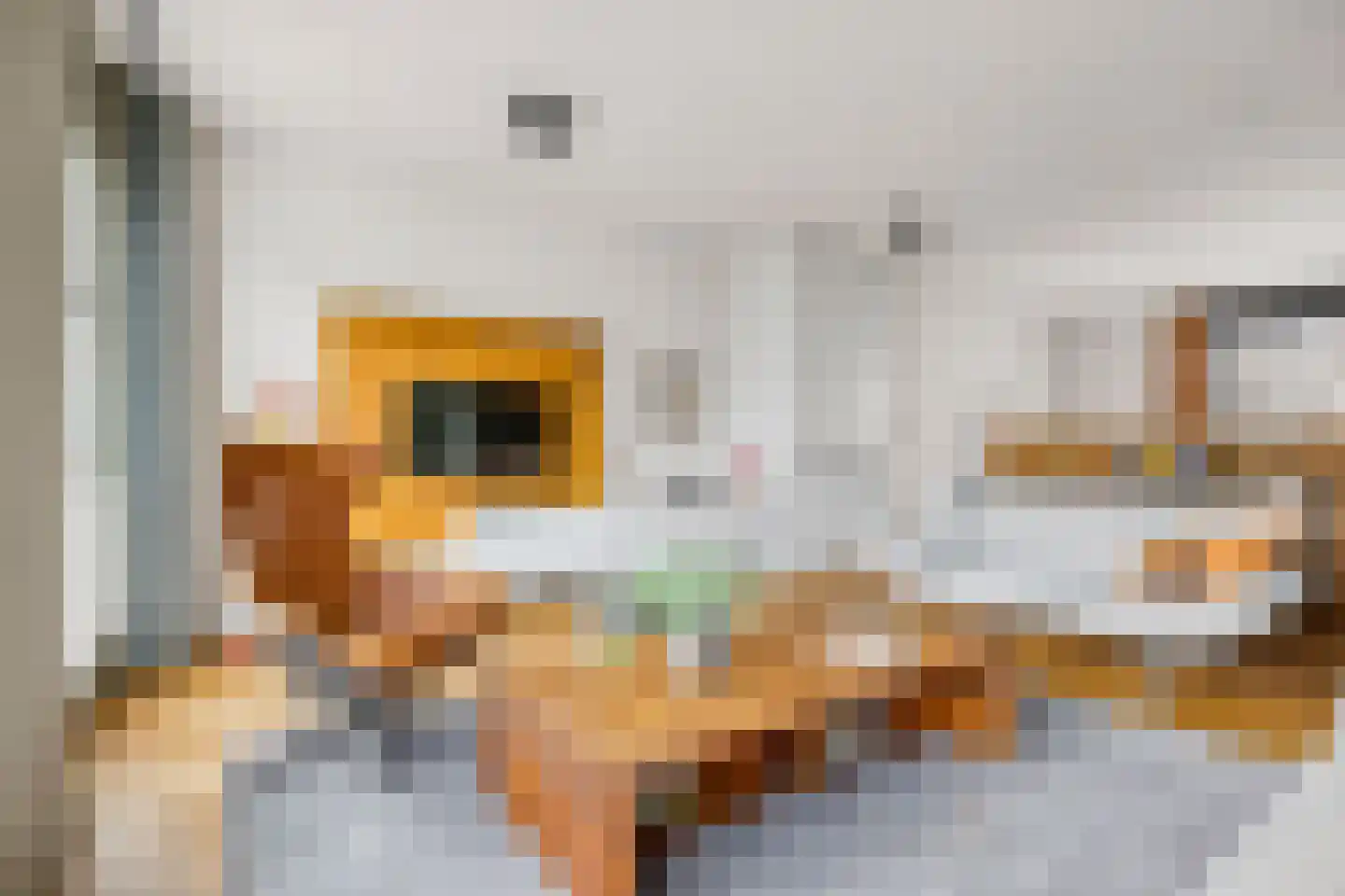 Zeedijk 9 Utrecht thumbnail 5