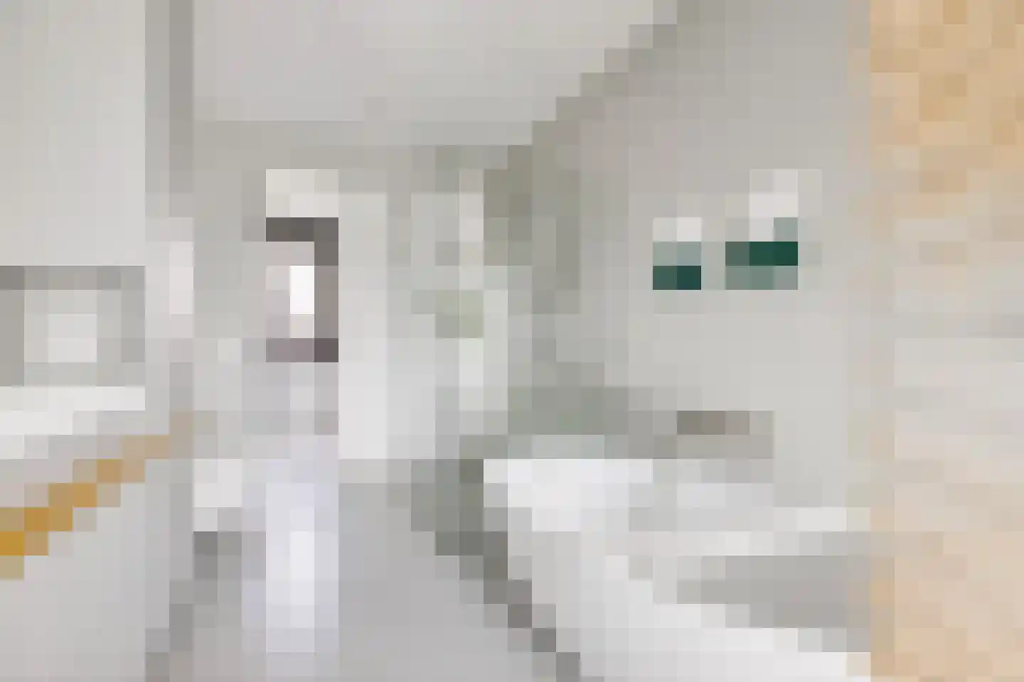 Zeedijk 9 Utrecht thumbnail 52