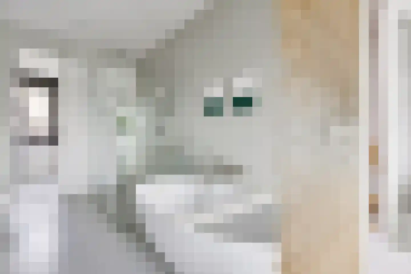Zeedijk 9 Utrecht thumbnail 55