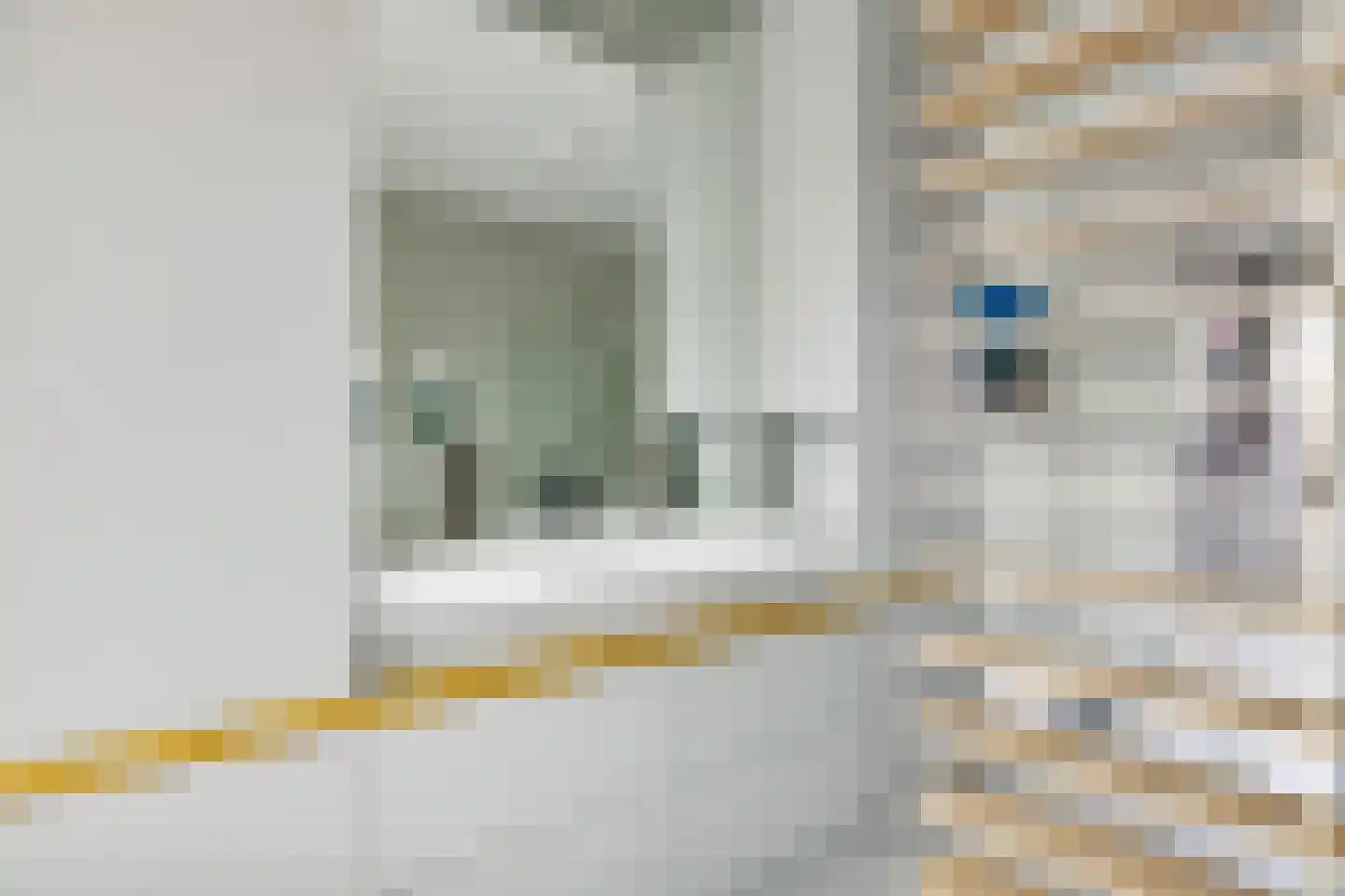 Zeedijk 9 Utrecht thumbnail 56