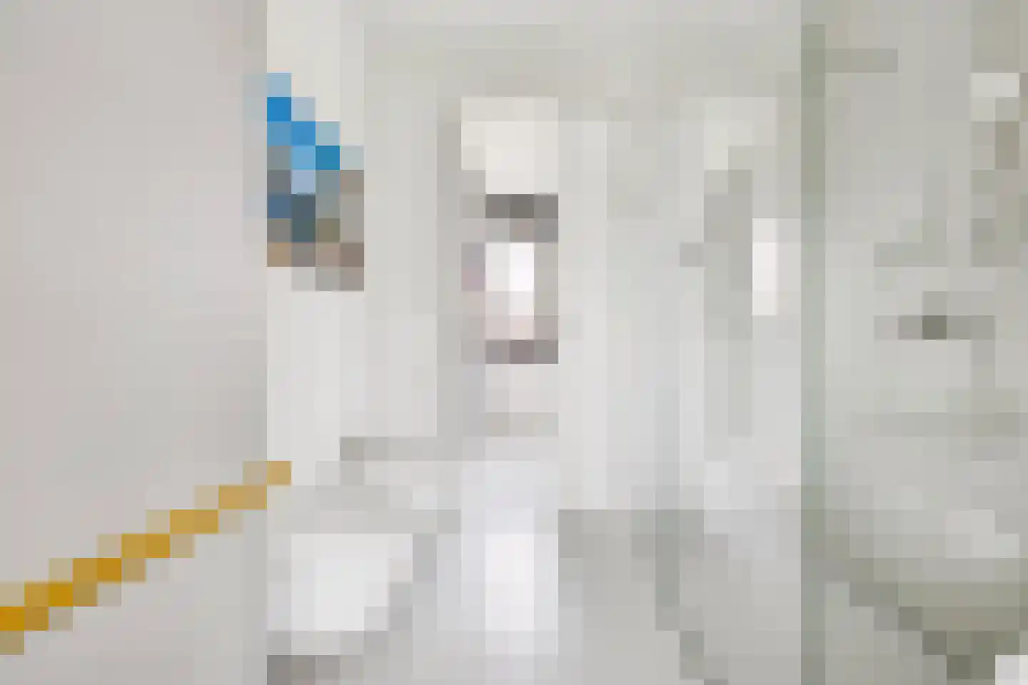 Zeedijk 9 Utrecht thumbnail 57