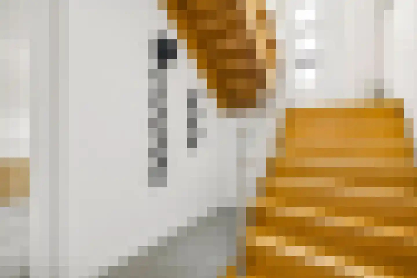 Zeedijk 9 Utrecht thumbnail 9