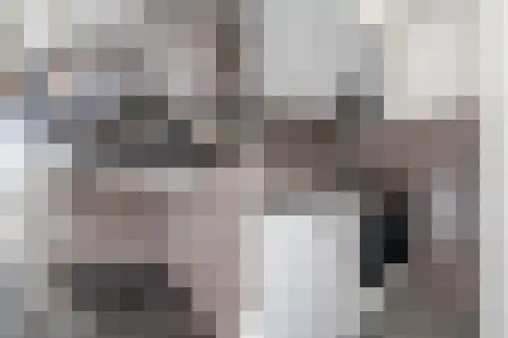 Zeedijk 97 2 Amsterdam thumbnail 13
