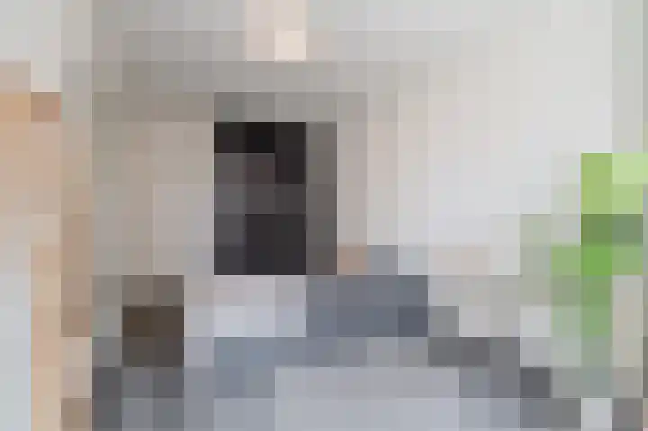 Zeedijk 97 2 Amsterdam thumbnail 18