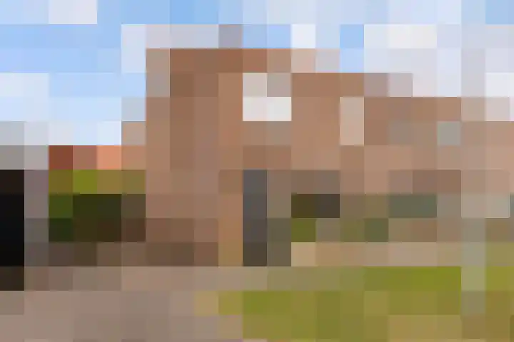 Zeedistel 1 dans De Meern