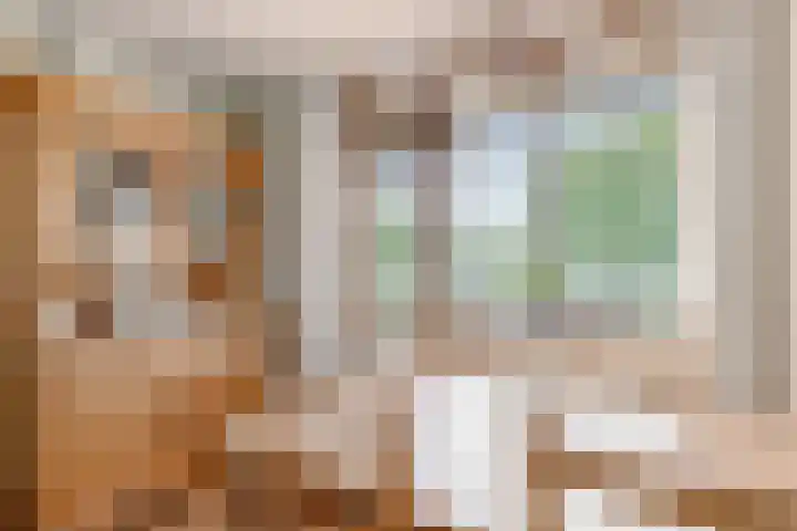 Zeedistel 1 De Meern thumbnail 11