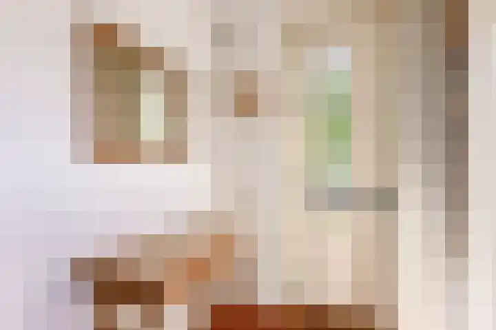 Zeedistel 1 De Meern thumbnail 14