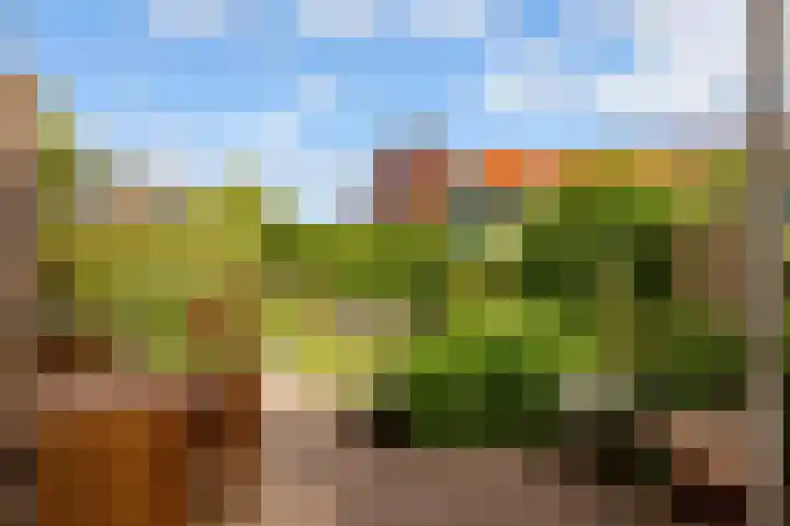 Zeedistel 1 De Meern thumbnail 28