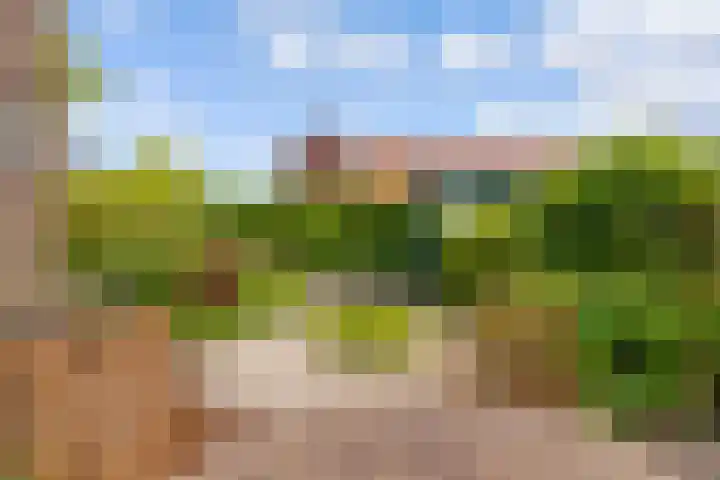 Zeedistel 1 De Meern thumbnail 30