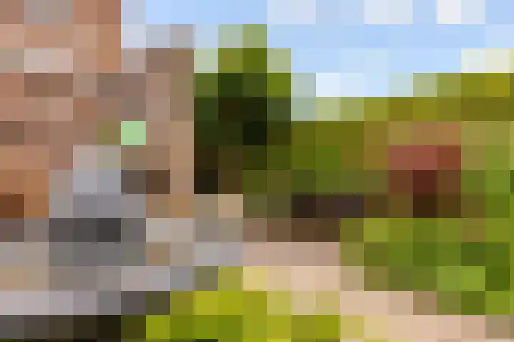 Zeedistel 1 De Meern thumbnail 31