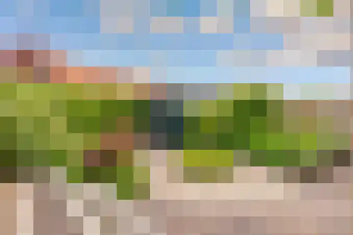 Zeedistel 1 De Meern thumbnail 32