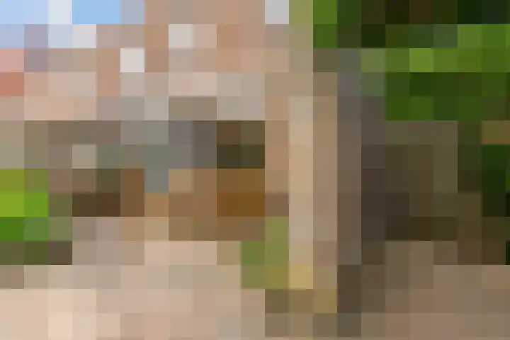 Zeedistel 1 De Meern thumbnail 33
