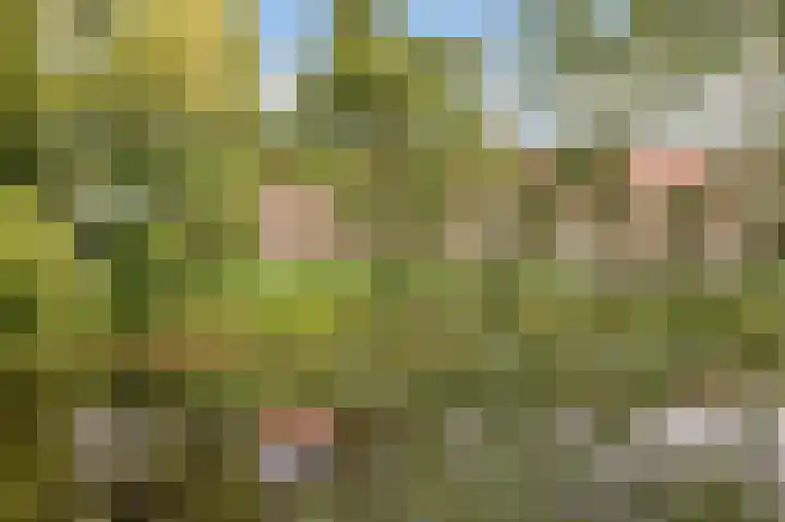 Zeedistel 1 De Meern thumbnail 34