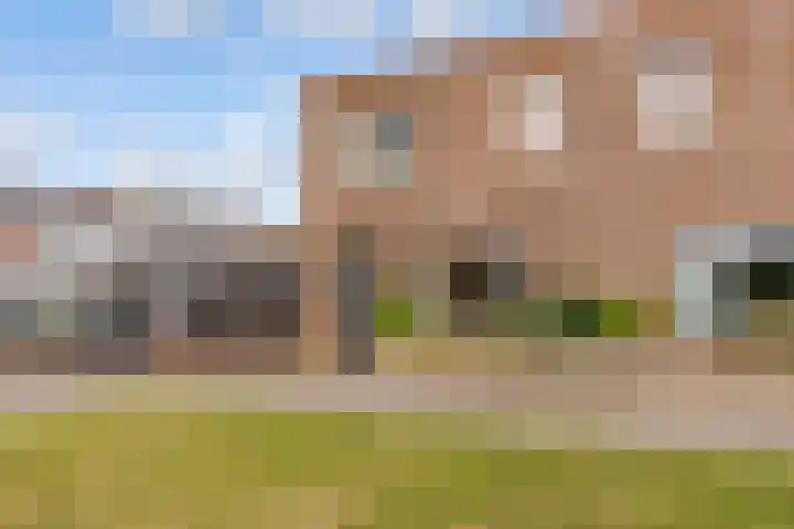 Zeedistel 1 De Meern thumbnail 35