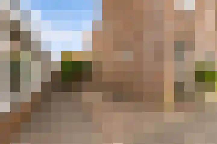 Zeedistel 1 De Meern thumbnail 36