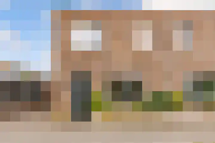 Zeedistel 1 De Meern thumbnail 37