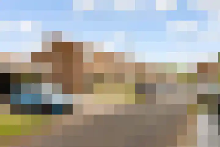Zeedistel 1 De Meern thumbnail 38