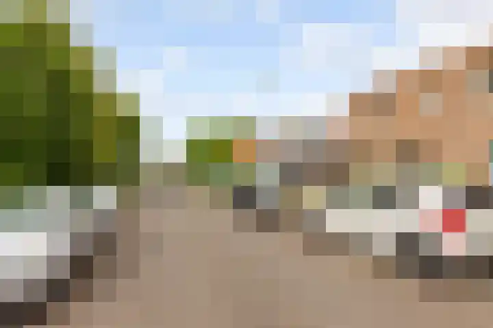 Zeedistel 1 De Meern thumbnail 39