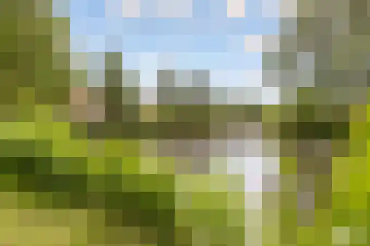 Zeedistel 1 De Meern thumbnail 40