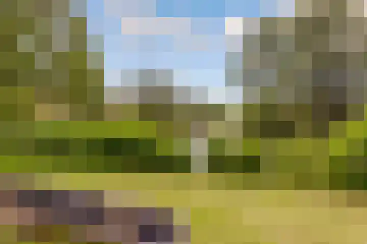 Zeedistel 1 De Meern thumbnail 41