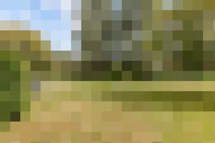 Zeedistel 1 De Meern thumbnail 42