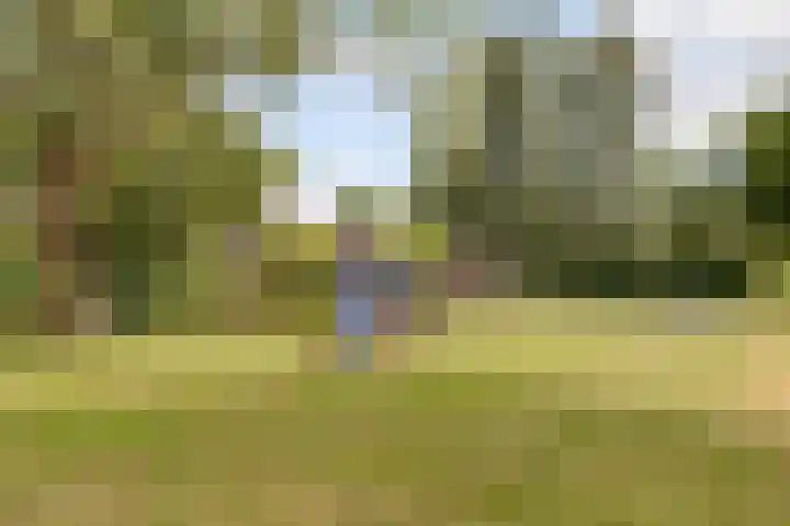 Zeedistel 1 De Meern thumbnail 43