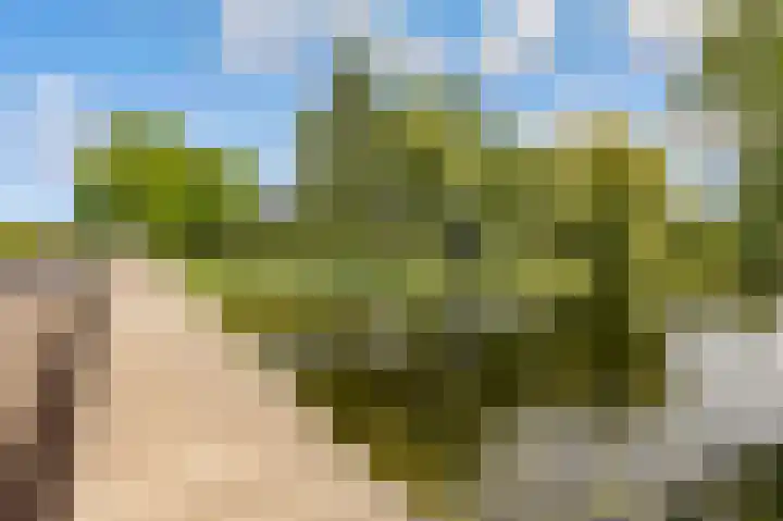 Zeedistel 1 De Meern thumbnail 44