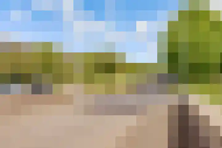 Zeedistel 1 De Meern thumbnail 45