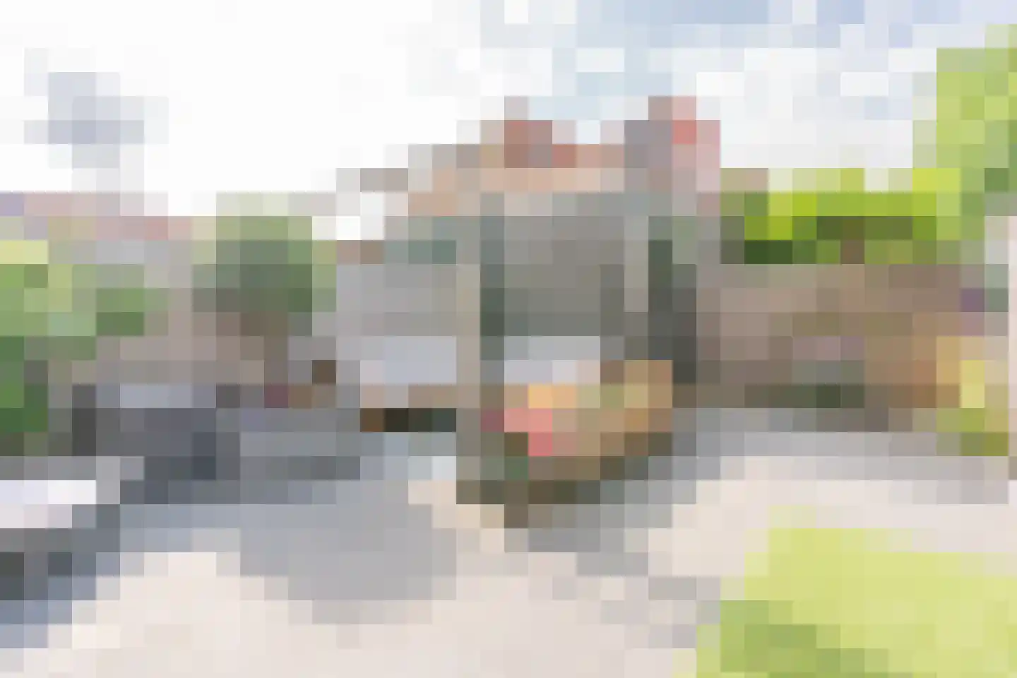 Zeedistel 12 De Meern thumbnail 28