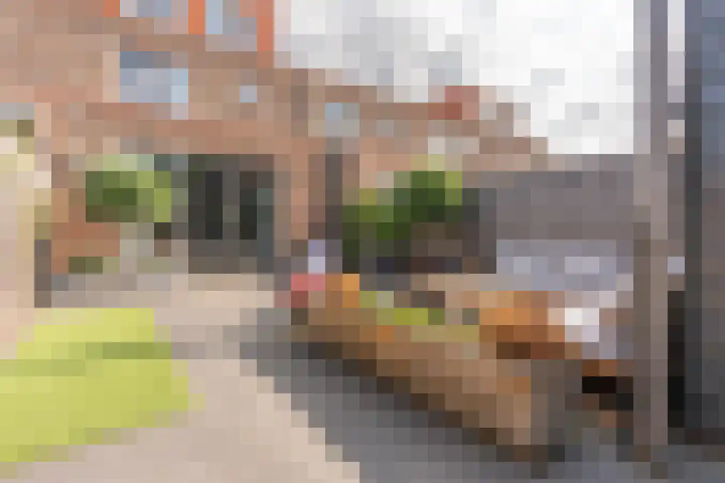 Zeedistel 12 De Meern thumbnail 31