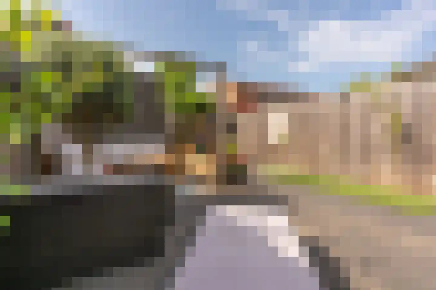 Zeedistel 12 De Meern thumbnail 33