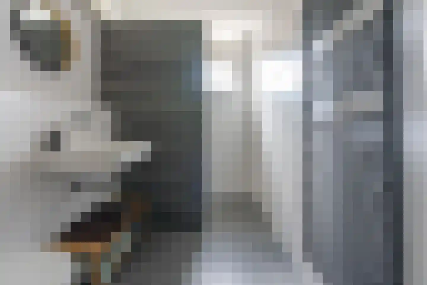 Zeedistel 12 De Meern thumbnail 48