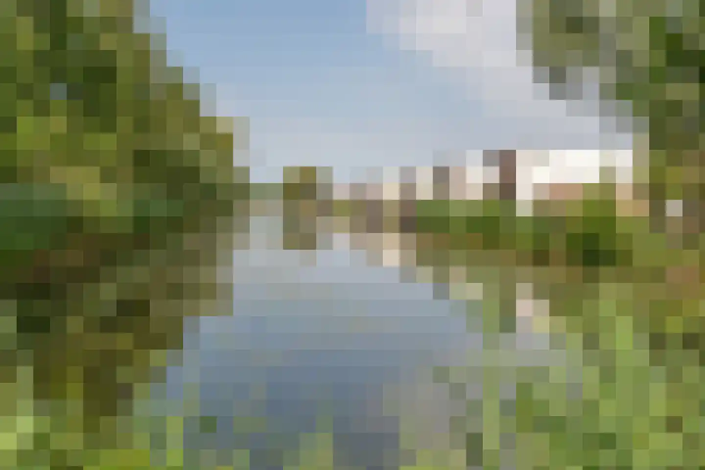 Zeedistel 12 De Meern thumbnail 58