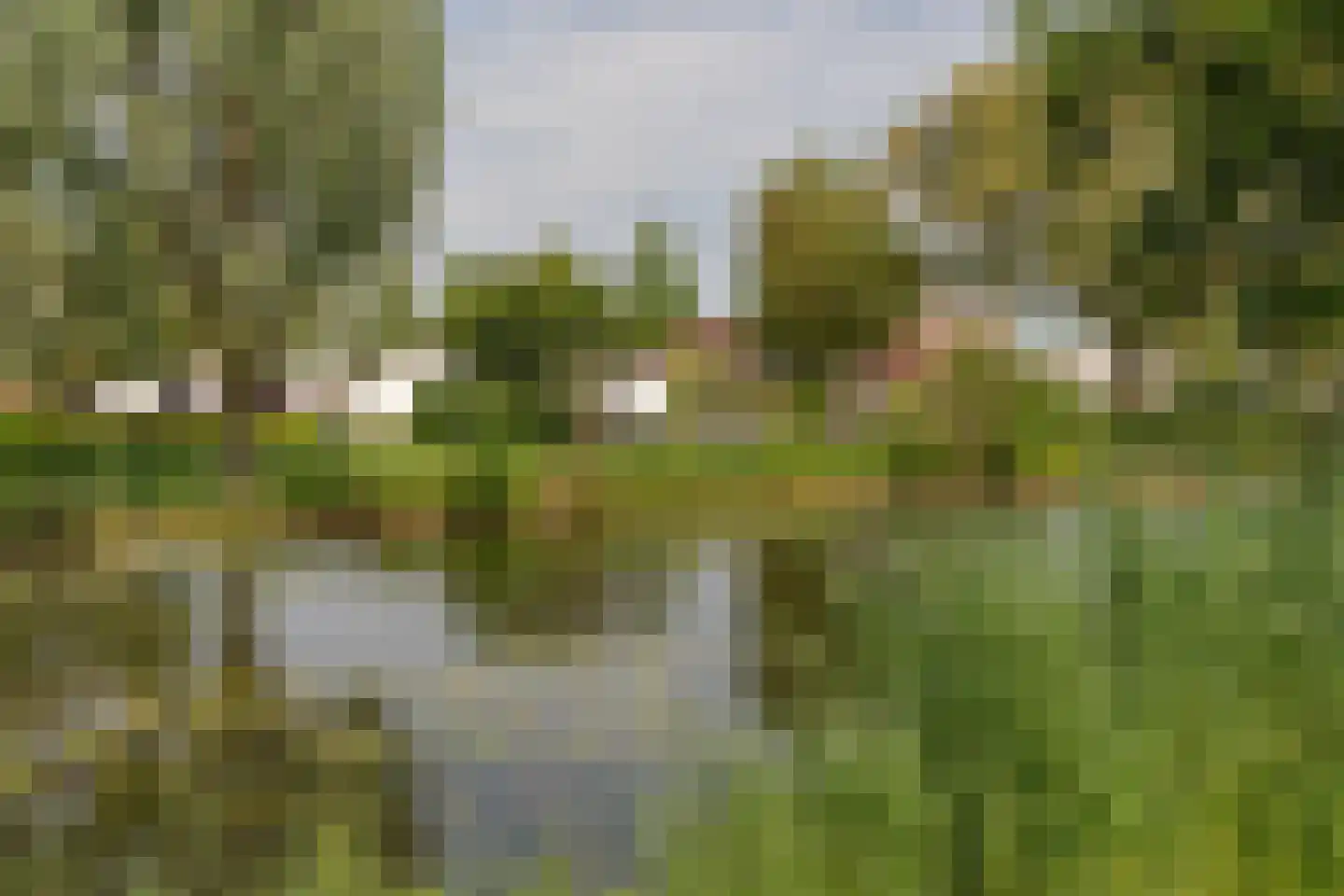 Zeedistel 12 De Meern thumbnail 59