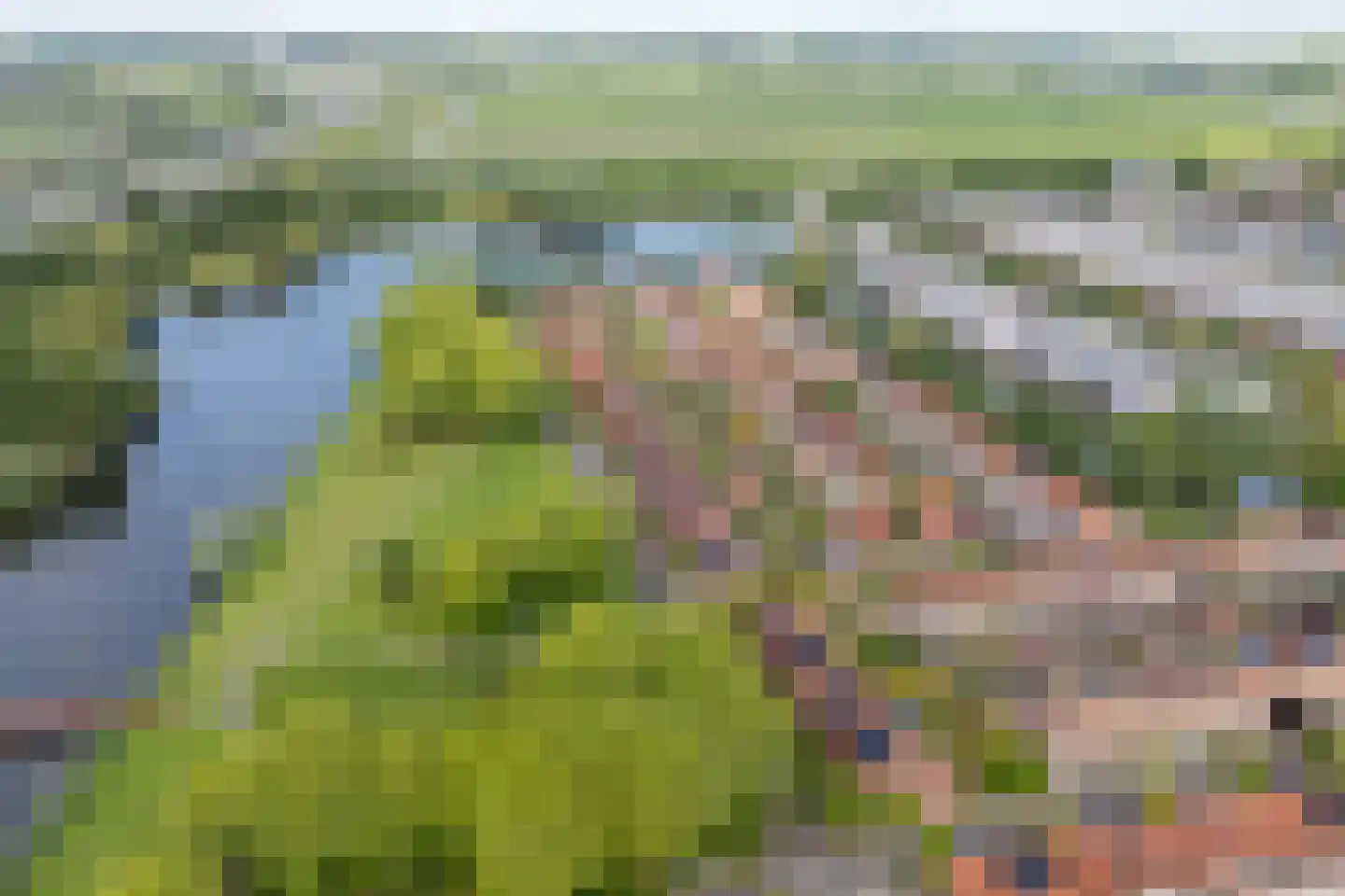 Zeedistel 12 De Meern thumbnail 64
