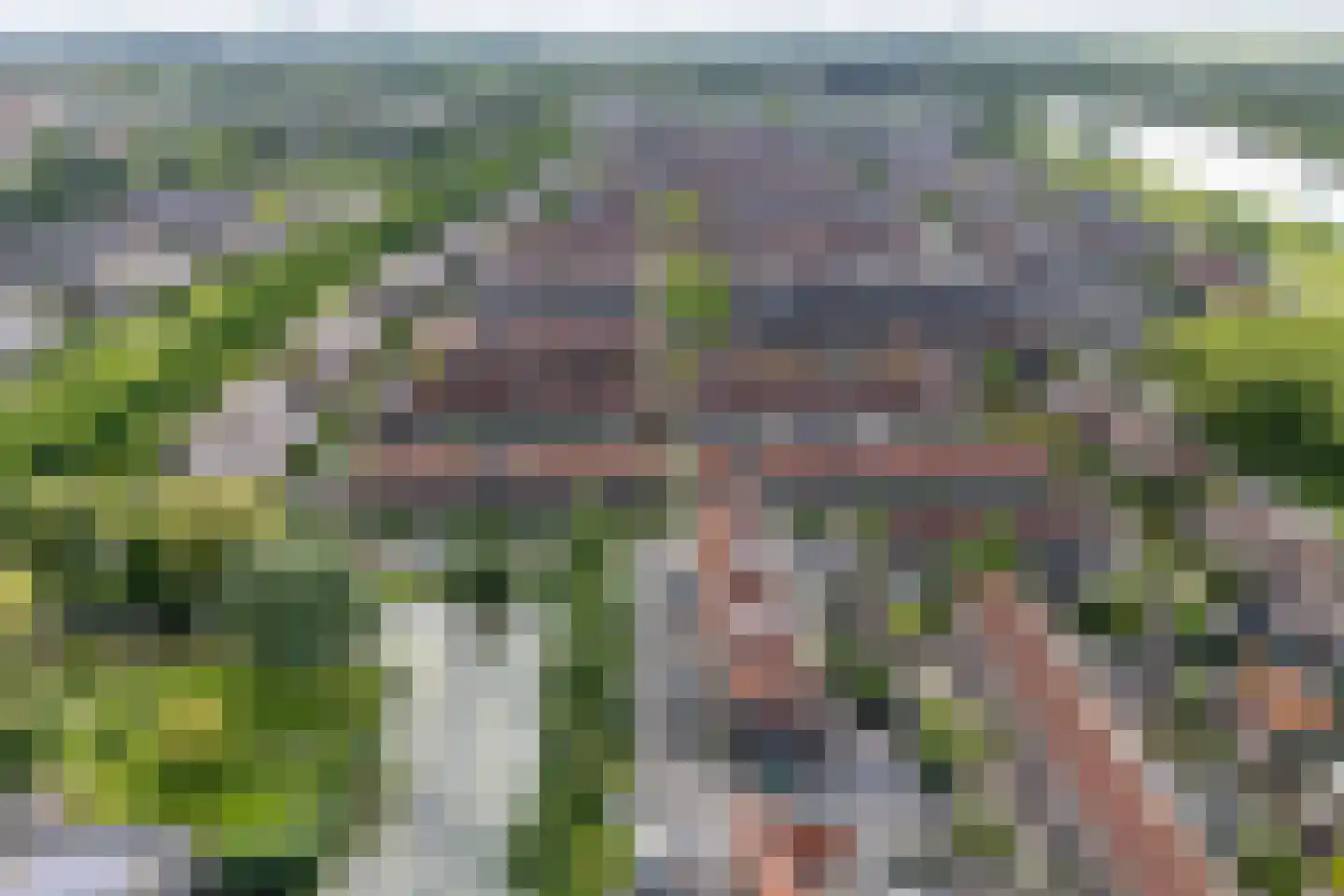 Zeedistel 12 De Meern thumbnail 65